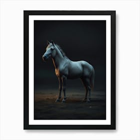 White Horse In The Dark Art Print