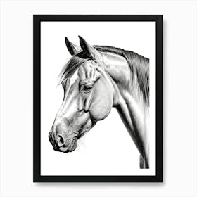 Highly Detailed Pencil Sketch Portrait of Horse with Soulful Eyes 9 Art Print