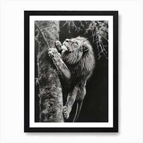 African Lion Charcoal Drawing Climbing A Tree 1 Art Print