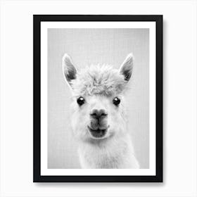 Llama - Black & White Art Print