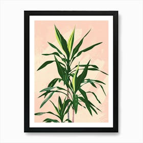 Dracaena Plant Minimalist Illustration 7 Art Print