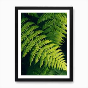 Pattern Poster Australian Tree Fern 4 Art Print