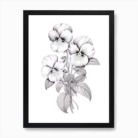 Pansies Flower Vintage Botanical 1 Art Print