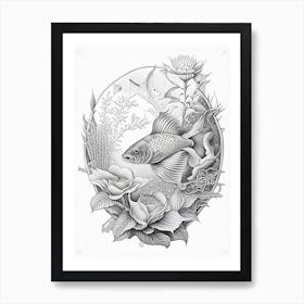 Goshiki Koi Fish Haeckel Style Illustastration Art Print