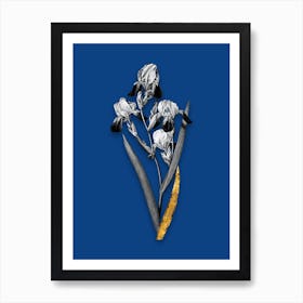 Vintage Elder Scented Iris Black and White Gold Leaf Floral Art on Midnight Blue n.0233 Art Print