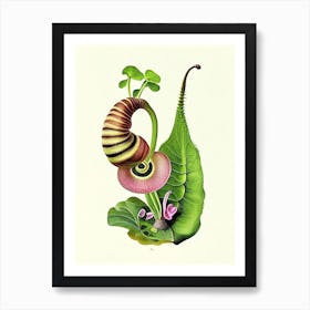 Ramshorn Snail  Botanical Art Print