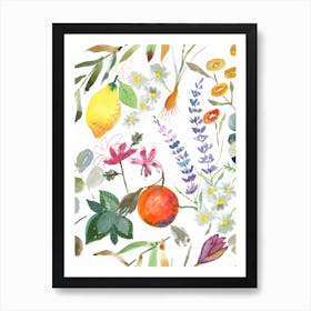 Aromatherapy Lemon White Art Print