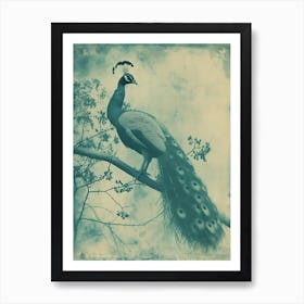 Vintage Blue Tones Peacock Photograph Inspired 3 Art Print