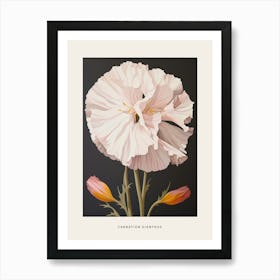 Flower Illustration Carnation Dianthus 5 Poster Art Print