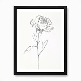 English Rose Black And White Line Drawing 28 Art Print