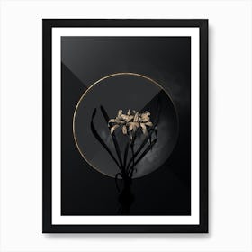 Shadowy Vintage Sea Daffodil Botanical on Black with Gold n.0042 Art Print