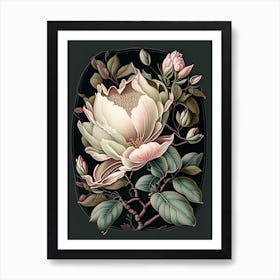 Magnolia 1 Floral Botanical Vintage Poster Flower Art Print