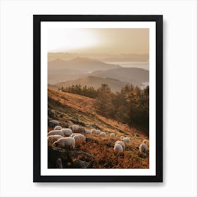 Sheep On Hillside Art Print