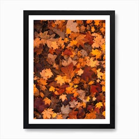 Autumn Leaves On The Ground Autumn Leaves Foliage Fall Art Print