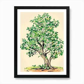 Lime Tree Storybook Illustration 2 Art Print