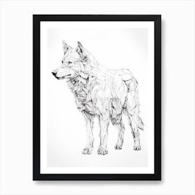 Arctic Wolf Line Drawing 3 Art Print