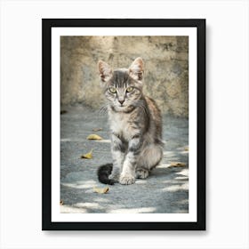 Little Greek Kitten 3 of 3 // Cat - Animal  Photography Art Print