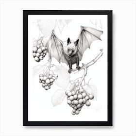 Botanical Illustration Fruit Bat 2 Art Print