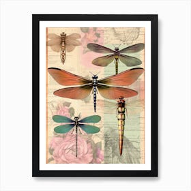 Dragonfly Vintage Species 4 Art Print