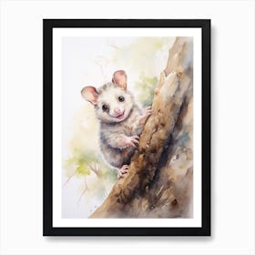 Light Watercolor Painting Of A Climbing Possum 4 Art Print