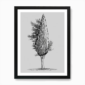Cypress Tree Minimalistic Drawing 4 Art Print