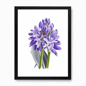 Hyacinth Wildflower Watercolour Affiche