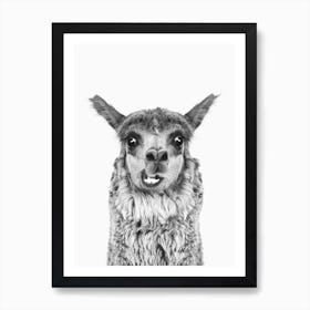 Happy Llama BW Art Print