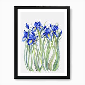 Blue Iris Art Print