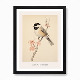 Vintage Bird Drawing Carolina Chickadee 1 Poster Art Print