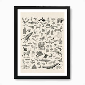 Wildlife of the World Illustrated Animals Print Art Print