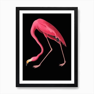 Flamingo Black Illustration Vintage Pop Art Print