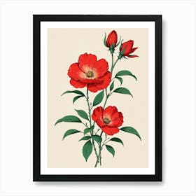 Red Roses Art Print