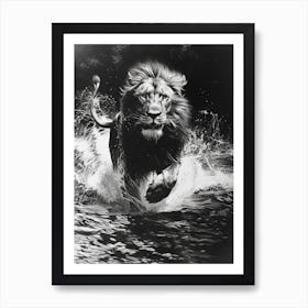 African Lion Charcoal Drawing Crossing A River 1 Art Print