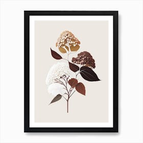 Hydrangea Root Spices And Herbs Retro Minimal 5 Art Print