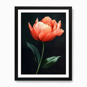 Tulip 2 Art Print