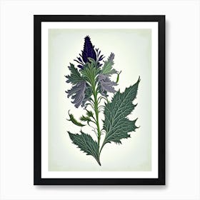 Pennyroyal Leaf Vintage Botanical 1 Art Print