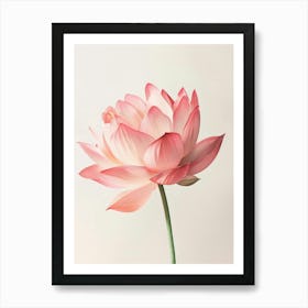 Poster Pink Beauty 1 Art Print