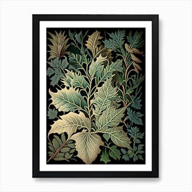 Bay Leaves Herb Vintage Botanical Art Print