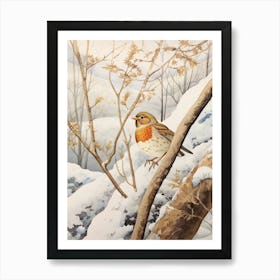 Bird Illustration Hermit Thrush 3 Art Print