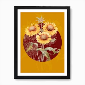 Vintage Botanical Blanket Flowers Galardia on Circle Red on Yellow n.0268 Art Print