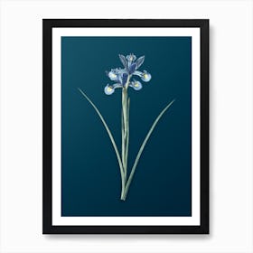 Vintage Spanish Iris Botanical Art on Teal Blue n.0777 Art Print