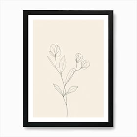 Line Drawing Of A Flower Art Print