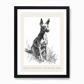 Xoloitzcuintli Hairless Dog Line Sketch 3 Poster Art Print