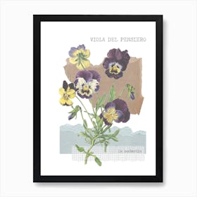 Viola Del Pensiero Art Print