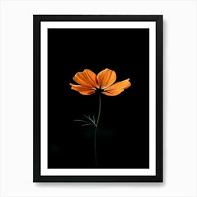 Single Orange Flower On Black Background 6 Art Print