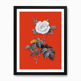 Vintage White Rose Black and White Gold Leaf Floral Art on Tomato Red n.0700 Art Print