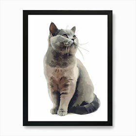 British Shorthair Cat Clipart Illustration 2 Art Print