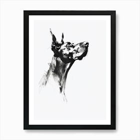 Doberman Dog Charcoal Line 3 Art Print