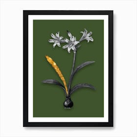 Vintage Amaryllis Black and White Gold Leaf Floral Art on Olive Green n.0690 Art Print