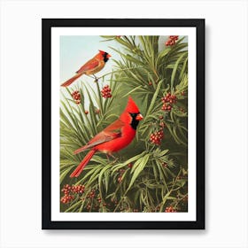 Northern Cardinal Haeckel Style Vintage Illustration Bird Art Print